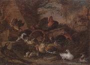 unknow artist Still life of fowl in a farmyard,with a cat stealing a bantam chick oil on canvas